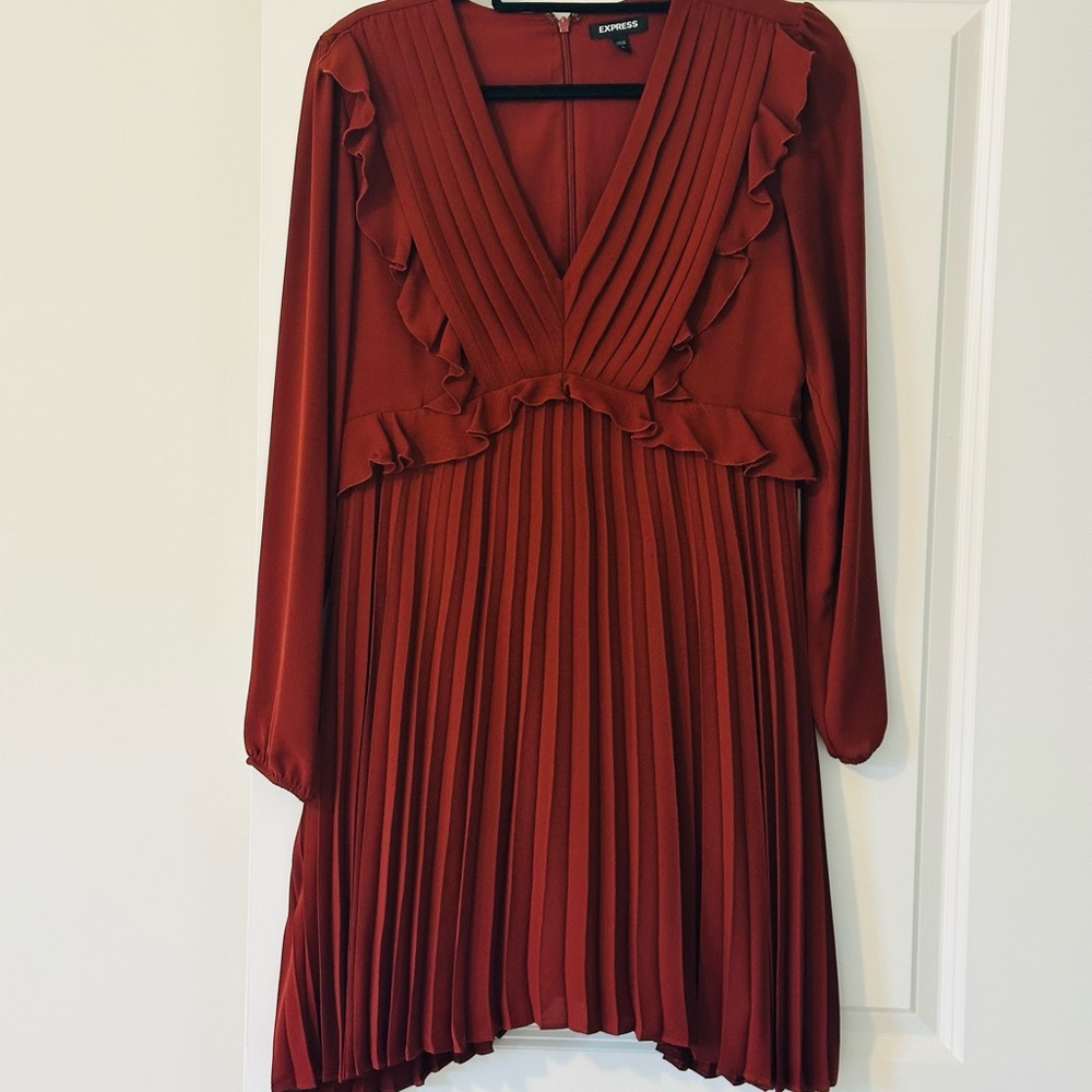 Express Burnt orange perfect for fall Pleated Mini Dress